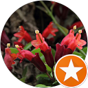 Flora Tumim profile picture